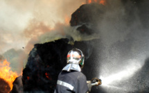 Seine-Maritime : cinq veaux tués et 450 tonnes de fourrage détruits dans l'incendie d'un bâtiment agricole 