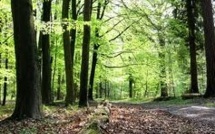 Les assassins présumés d'Alexandre sur les lieux du crime en forêt de Lyons