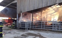 Seine-Maritime : un bâtiment agricole embrasé à l’arrivée des sapeurs-pompiers à Ocqueville 
