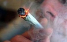 Le Rouennais était sous l'influence de l'alcool et du cannabis