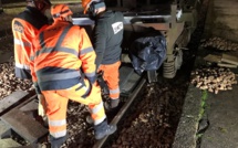 SNCF : la circulation des trains fortement perturbée entre Rouen et Le Havre