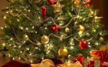 Que faire de son sapin après les fêtes ?