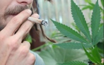 Depuis deux ans, il cultivait des plants de cannabis dans sa chambre