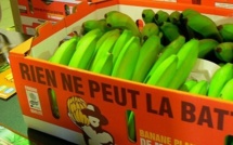Saisie en Ile de France : 64 kg de cocaïne dissimulés dans des cartons de bananes