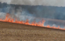 15 hectares de blé, colza et chaume détruits par le feu à Mesnils-sur-Iton, dans l'Eure