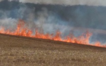 Seine-Maritime : 2 ha de blé sur pied et de chaume brûlés dans le Pays de Caux  