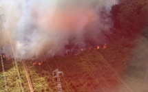 Seine-Maritime : 20 hectares d'herbe et de sous-bois détruits par le feu à Montigny, près de Rouen