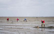 Grandes marées en Normandie : promeneurs et pêcheurs à pied invités à la prudence 