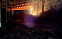 Seine-Maritime : des copeaux de lin s'enflamment dans un hangar à Valiquerville, près d'Yvetot