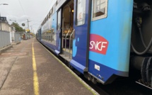 Un arbre tombé sur la voie perturbe le trafic des trains entre Dieppe et Rouen 