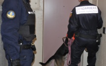 Un réseau de drogue démantelé entre les Andelys et Gaillon : six trafiquants présumés en prison