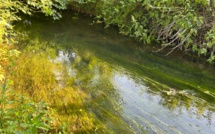 La situation de l'eau est jugée préoccupante dans l'Eure : des mesures de restriction sont à l'étude
