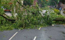 Caténaires endommagées, arbres sur les voies : la tempête Poly a impacté la circulation des trains en Normandie