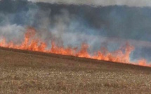 16 hectares de récoltes sur pied et de chaume partis en fumée dans l'Eure