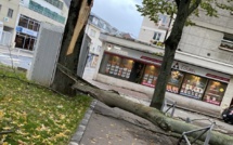 Tempête Ciaran en Seine-Maritime : routes coupées, foyers privés d'électricité, aucune victime à déplorer 