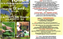 Les orties en folie ce dimanche 12 avril à La Haye-de-Routot (Eure)