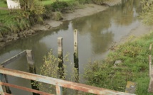 Marais-Vernier (Eure). Une voiture tombe dans la rivière, pas de victime à bord 
