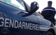 Délinquance : les gendarmes de Duclair mobilisés en forêt de Brotonne