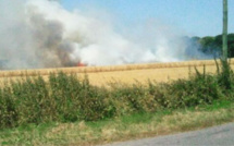 Sécheresse : 220 ha de récoltes, de sous-bois et de chaume détruits par le feu en 2 jours dans l'Eure