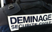 Seine-Maritime : les démineurs appelés en pleine nuit pour un sac à main suspect dans un train 