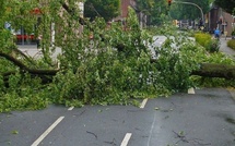Tempête Darragh : plus de 150 interventions des sapeurs-pompiers en Seine-Maritime et dans l’Eure