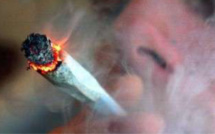 Le Trait : deux fumeurs de joints trahis par l'odeur de cannabis lors d'un contrôle de gendarmerie