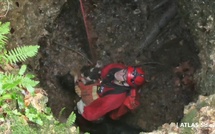 Eure : Quatre chiens de chasse secourus par les pompiers après une chute dans une marnière de 30 m 