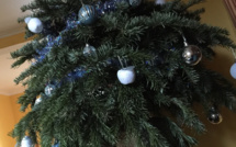 Au Havre, les sapins de Noël finissent en compost 