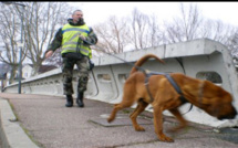 Seine-Maritime : en situation irrégulière, un voleur de métaux trahi par sa voiture 