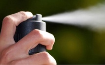 La Verrière (Yvelines) : une femme asperge ses voisins de gaz lacrymogène lors d’un différend