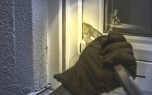 Les Yvelines : un cambrioleur interpellé en flagrant délit dans une maison à Verneuil-sur-Seine