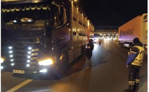 Dermatose nodulaire contagieuse : contrôles renforcés sur les transports de bovins en Seine-Maritime