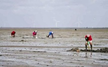 Grandes marées : vigilance renforcée sur tout le littoral normand du 2 au 5 février 