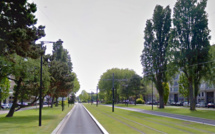 Au Havre, un peuplier de 30 mètres s'abat sur les voies du tramway : trafic coupé durant 5 h