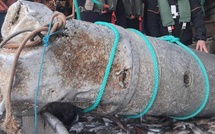 Une bombe allemande d’une tonne repêchée par un chalutier au large de Courseulles-sur-Mer