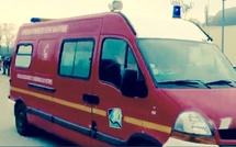 Isneauville : un chat secouru après une chute dans un puits de 4 mètres