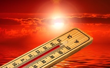 Canicule - La Seine-Maritime et l'Eure placés en vigilance rouge à partir de mardi midi