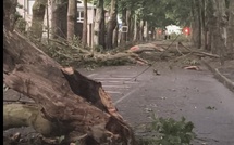 Tempête dans l’Eure : les Andelys durement touchés, la mairie ouvre une ligne dédiée
