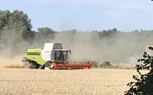 Seine-Maritime : feu de moissonneuse-batteuse à Croixdalle, 7,5 hectares de blé détruits 