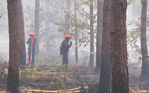 Eure : 2 hectares de sous-bois détruit par un incendie dans la forêt de Bord