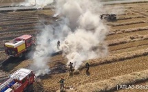 ​Feux de végétation dans l’Eure : près de 450 hectares partis en fumée depuis le 18 juin