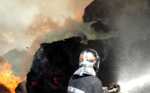 Eure : un hangar agricole de 600 m² ravagé par les flammes et une centaine de vaches évacuées à Cormeilles