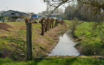 Sécheresse dans l’Eure : deux prélèvements d’eau illégaux stoppés à Garennes-sur-Eure