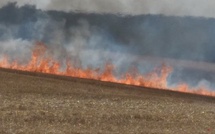 Seine-Maritime. Important feu de végétation dans le bois d’Orcher : 57 sapeurs-pompiers mobilisés