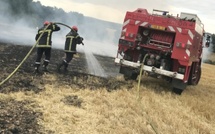 ​Seine-Maritime. Feu dans le bois d’Orcher : l’incendie fixé après avoir parcouru 3,4 hectares