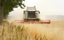 Sécheresse en Seine-Maritime : les agriculteurs autorisés à exploiter leurs jachères