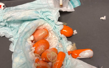 De la méthamphétamine dans la vanille : les douaniers du Havre à l’origine d’une saisie de 2,4 tonnes