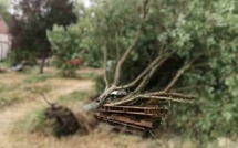 Tempête Austen : trois blessés dans l’Eure et la Seine-Maritime, des restrictions levées sur les routes