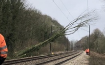 ​SNCF : un arbre tombe sur les voies dans l’Eure, des trains bloqués et des voyageurs évacués par bus