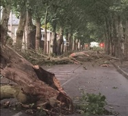 Tempête dans l’Eure : les Andelys durement touchés, la mairie ouvre une ligne dédiée